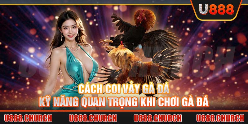 Cách coi vảy gà đá